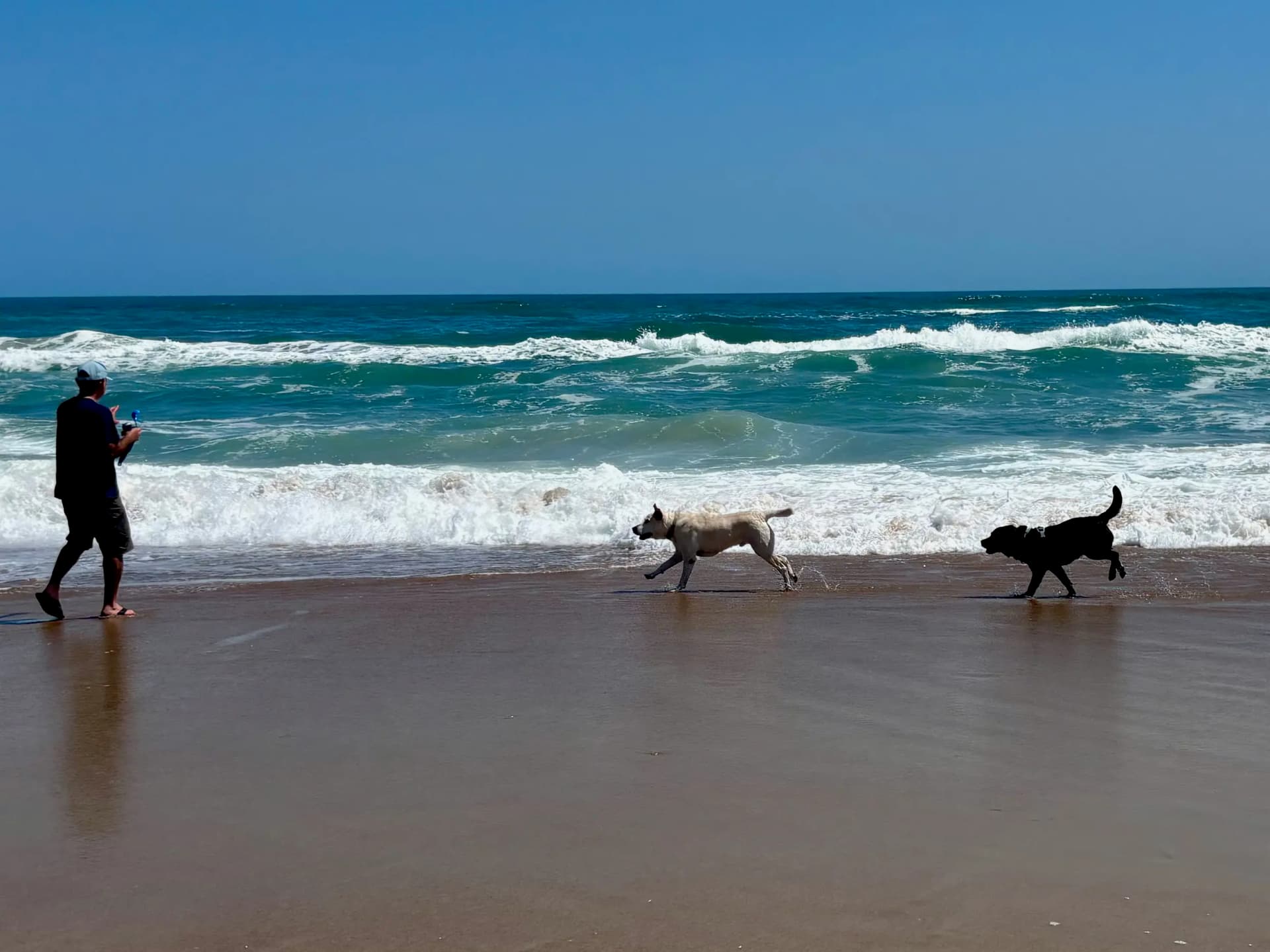 Baskin, Tucker and Zoey at Beach Exit Number 38