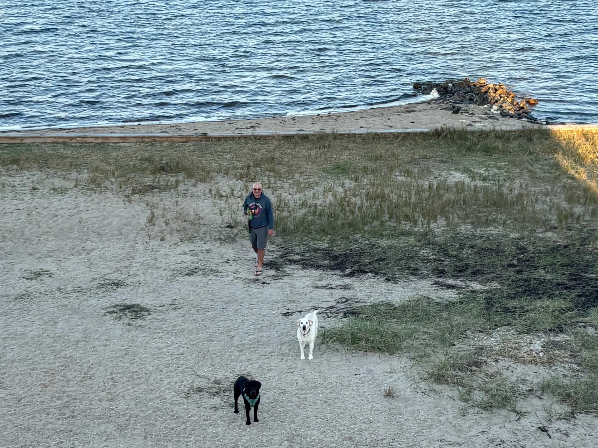 Tucker and Zoey are wondering how Kelly got up there