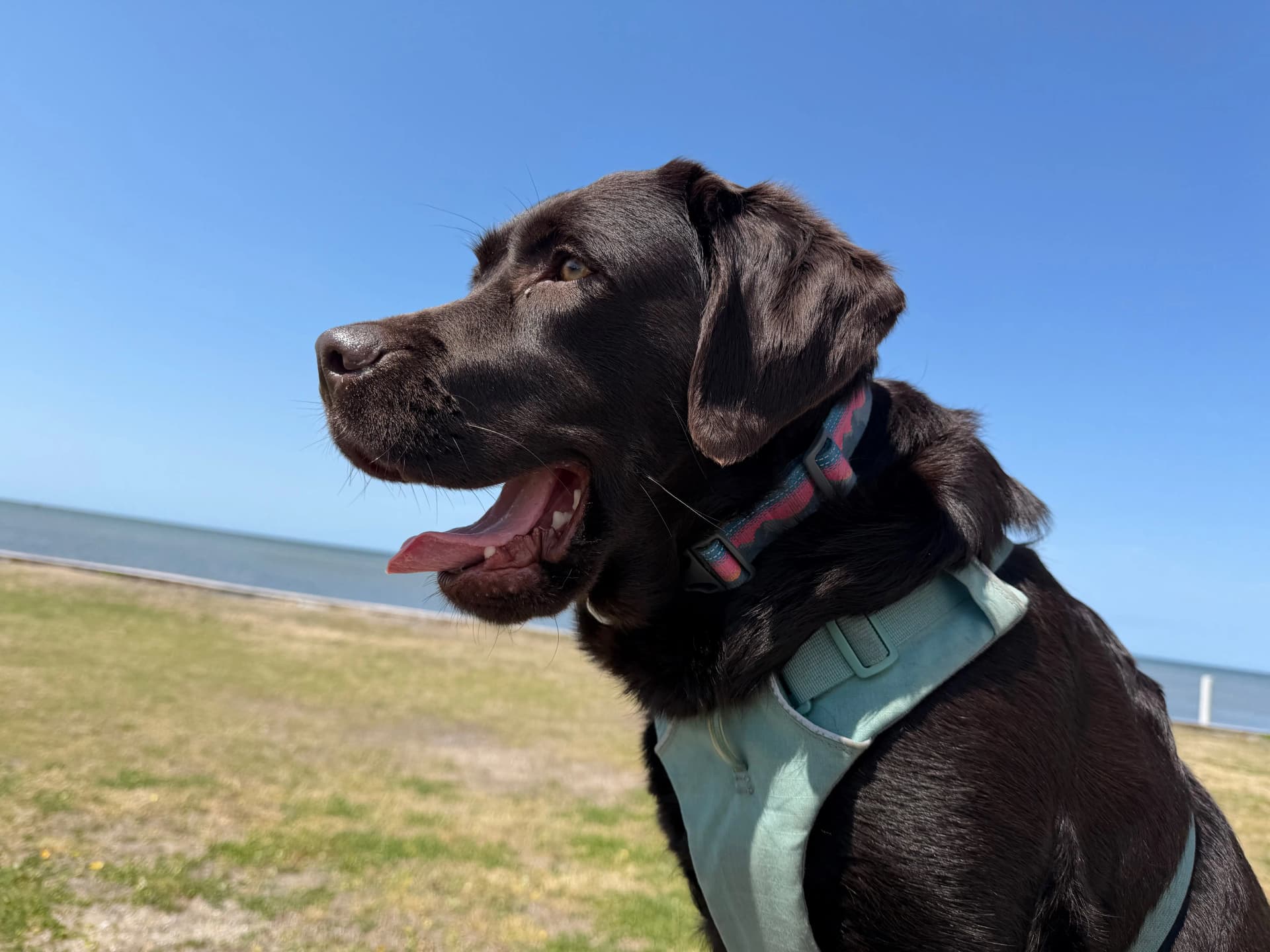 Zoey is taking a break