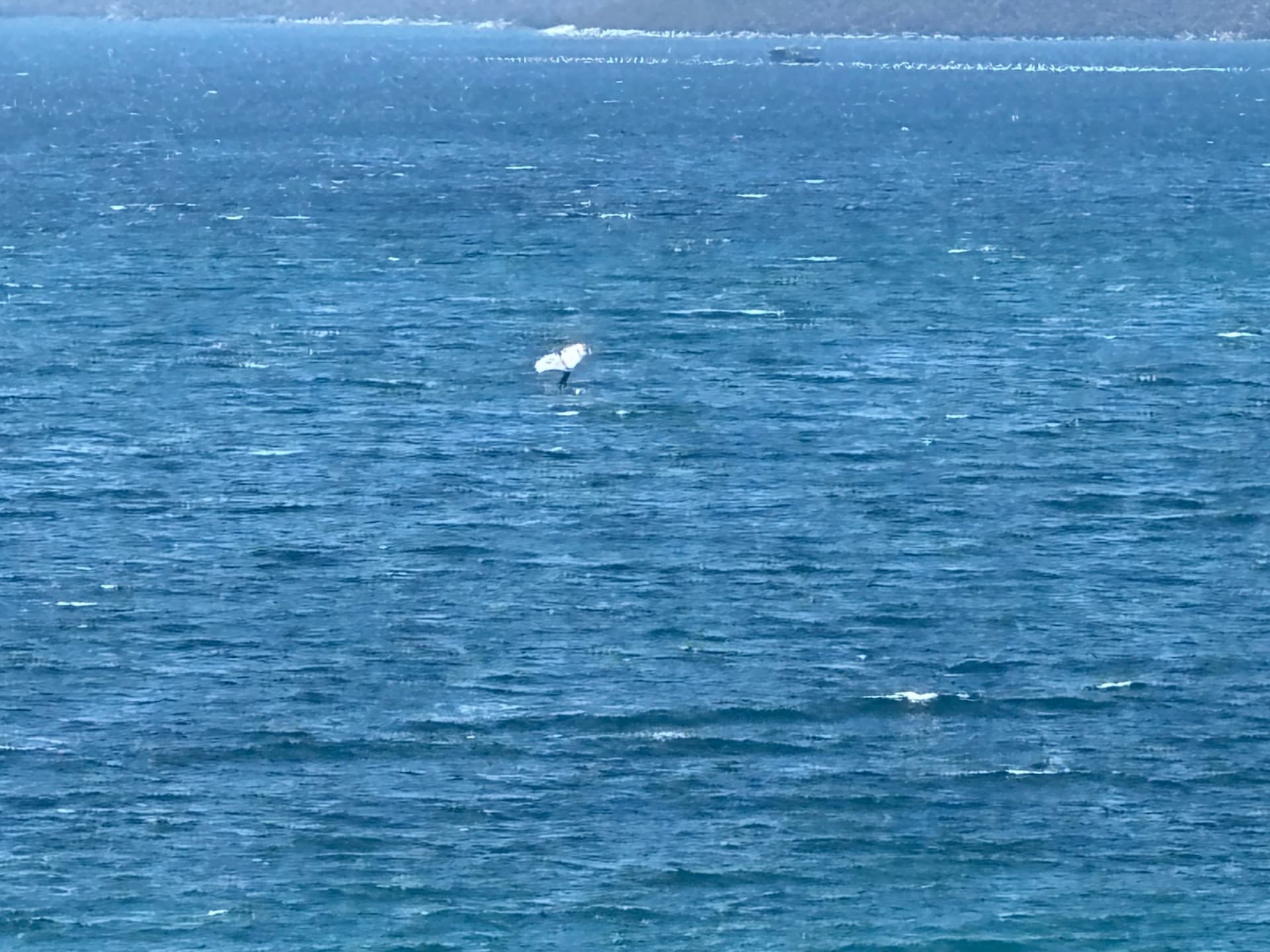Baskin winging with a 4.5m not so distant