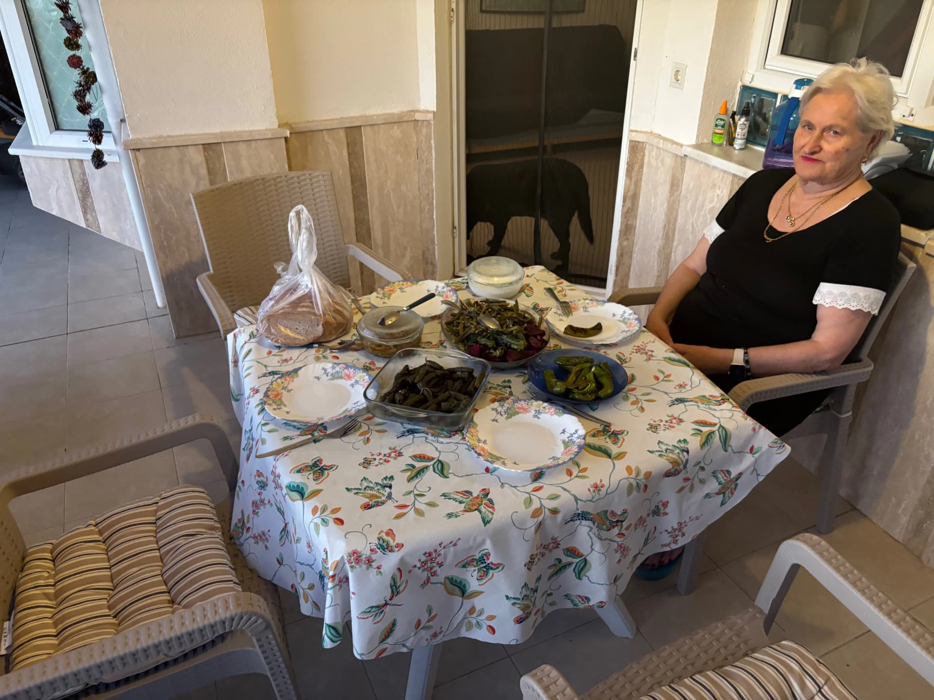 Nefis cooked up an excellent veggie dishes as usual
