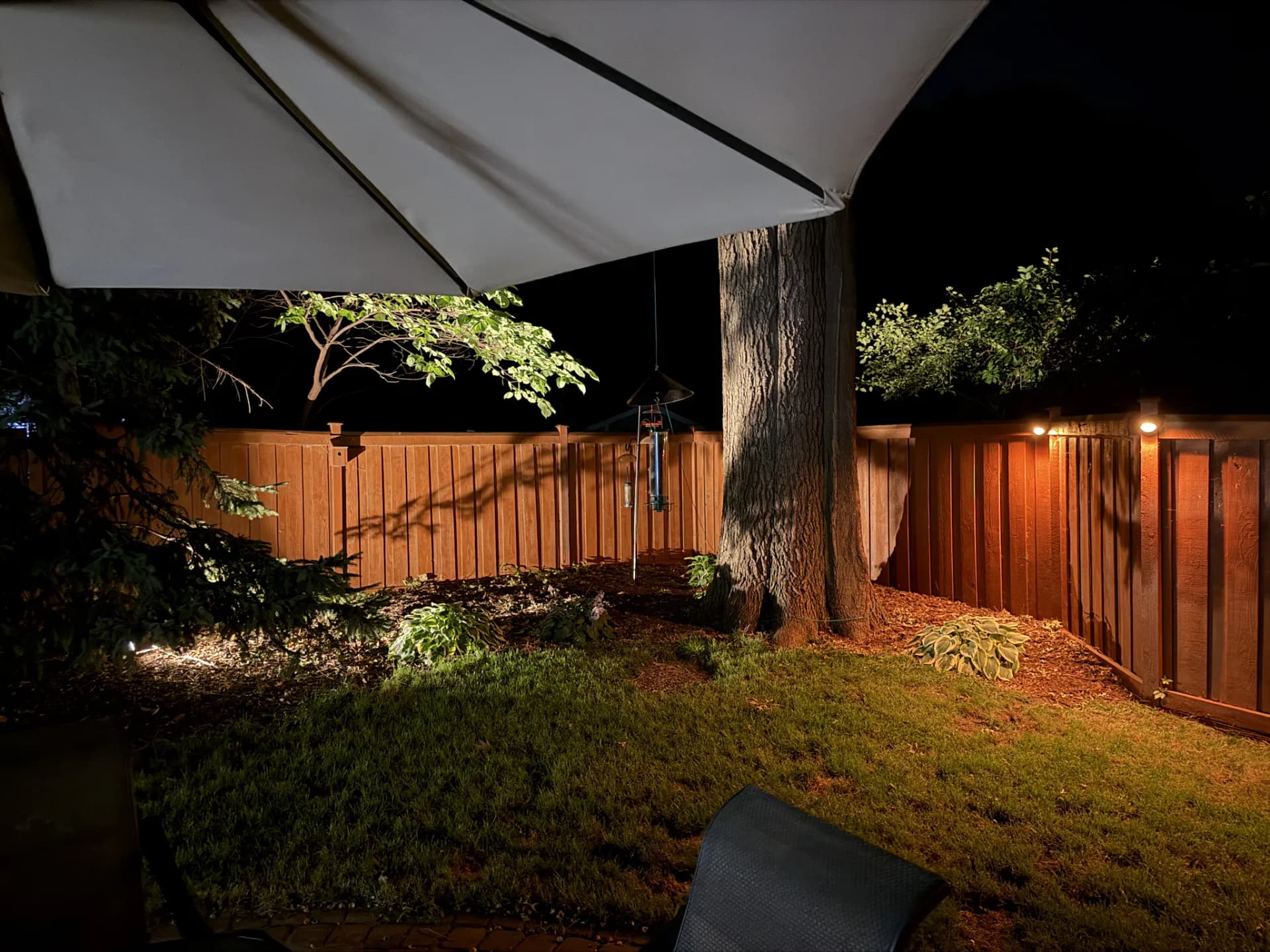 Aug 22, 22:18 Backyard lights are shining on the bird feeders